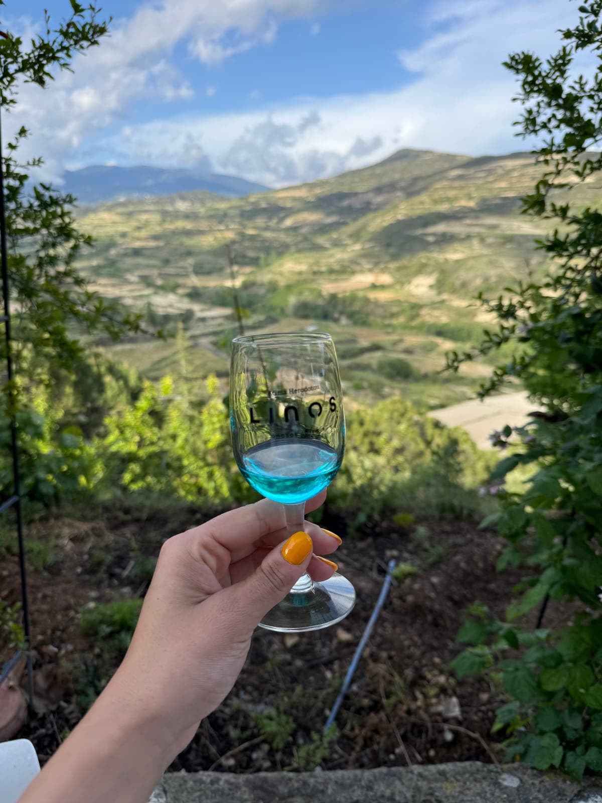 A glass of wine above the Cyprus hills